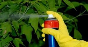 Фунгициды: Виды и их применение